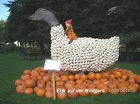 Erik auf der Wildgans.webp