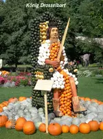 König Drosselbart.webp
