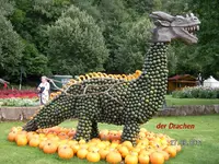 Drache.webp