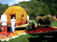 Kutsche.webp