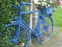 IMG_6250.webp