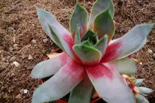 122.webp