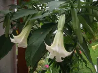 DSCF1113.webp