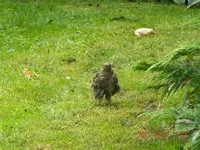 DSCN0797.webp