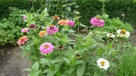K800_30.August 2011 193.webp