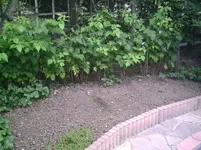 Beet.rechter Teil.webp