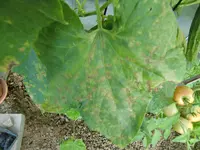 CIMG1649.webp