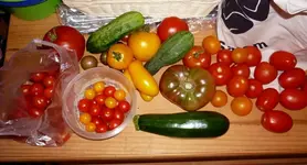 ErnteEndeAugust.webp