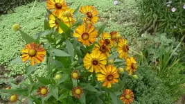 K800_30.August 2011 195.webp