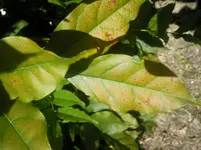 Foto0321.webp