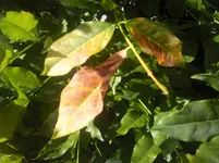 Foto0320.webp