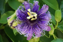 DSC_0248.webp
