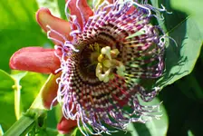 DSC_0155.webp