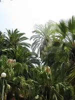 IMG_botanischer garten_600x800.webp
