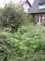 IMG_5561.webp IMG_5561.webp