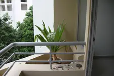 palma_01.webp