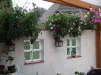 DSCF0424.webp