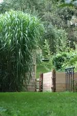 hinterm haus kl.webp