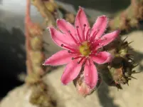 IMG_6919_1067x800.webp