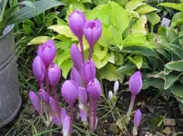 IMG_6899_1067x800.webp