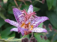 IMG_6910_1067x800.webp