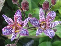 IMG_6933_1067x800.webp