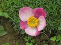 IMG_6917_1067x800.webp