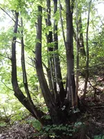 DSCF0692.webp