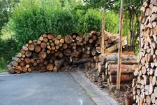 Einmal Holz.webp