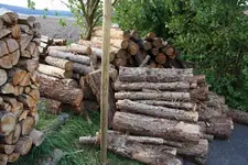 Zweimal Holz.webp
