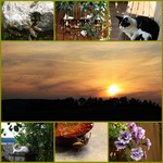 Sonstiges.webp