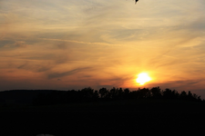Abendsonne.webp