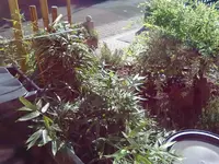 01092011246.webp