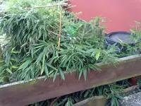31082011244.webp