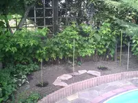 PIC00561.webp