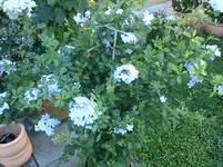 DSC00119.webp
