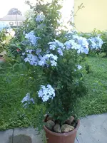 DSC00118.webp