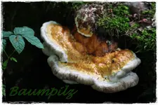 01.09 (2).webp