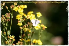 01.09 (6).webp