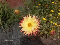 HPIM6845.webp