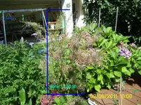 4.webp