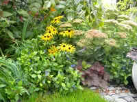 DSCN0800.webp