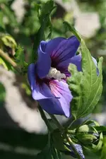 IMG_5352 (Klein).webp