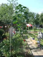 2011_090111sept0013.webp