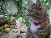 Anja Brunnen nah 100_0698 (Medium).webp