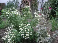 IMG_4270.webp