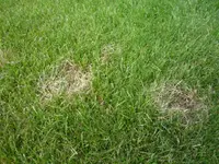 P1010180.webp