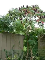 P1020226.webp