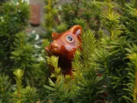eichhörnchen.webp