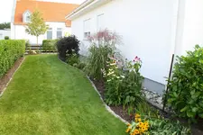 rasenfern.webp